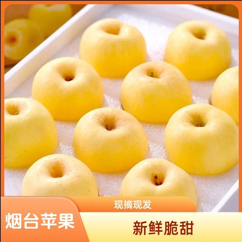 【2025新果】山东烟台栖霞奶油富士苹果现摘现发脆甜新鲜产地直发