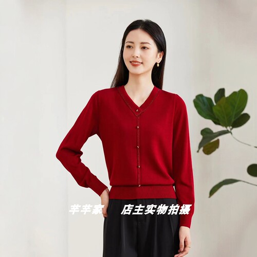 莱赛莉丝Y9037莱赛尔女装针织衫2025秋款V领长袖纯色通勤套头上衣