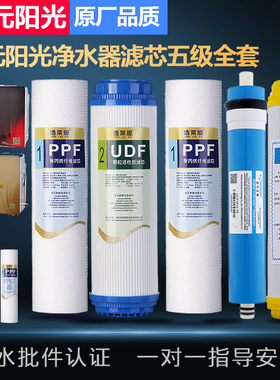 盛元阳光净水器滤芯加热一体机