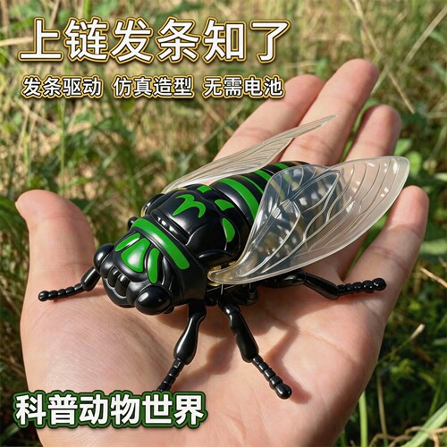 上链条知了爬行动物发条有翅昆虫仿真玩具可动儿童玩具生日礼物