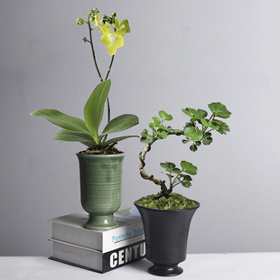 创意窑变北欧风兰花陶瓷花盆桌面ins简约蝴蝶兰蕨类绿植花盆