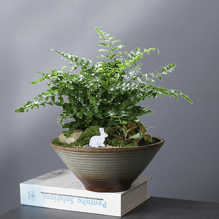 水仙铜钱草碗莲剑山插花器斗笠花器陶瓷花道花盆禅意插花器皿复古