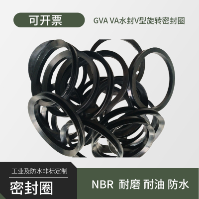 VA水封GVA2000水封 12/18/20/22/25/28/30/32/35/36/38/40/45/50V