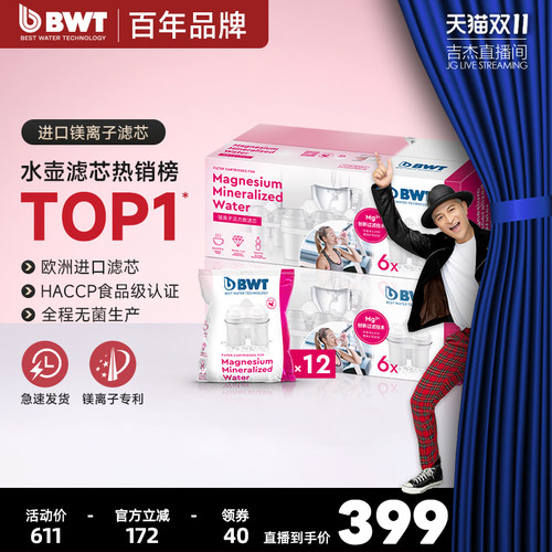 德国bwt滤芯净水器通用碧然
