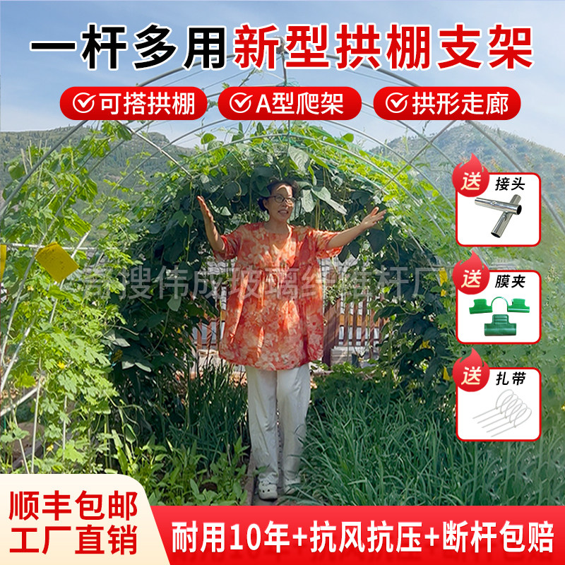 新型小拱棚支架搭棚子瓜果种菜爬藤支撑杆玻璃纤维大棚支架拱杆