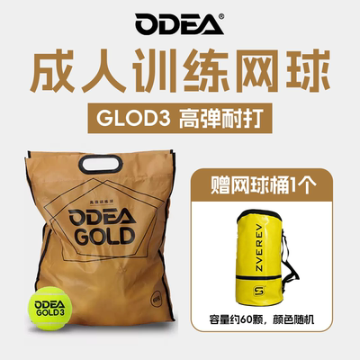 训练网球网球欧帝尔GOLD