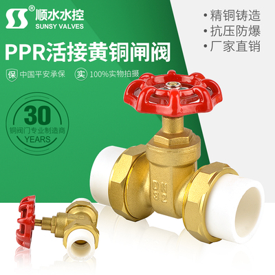 全铜玉环PPR活接闸阀PE升降式4分20管6分闸门表前闸阀门热熔闸阀