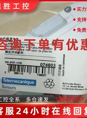 议价XCSZ01//SZ02/SZ03/SZ11/SZ12/XCSZ13/XCSZ14/SZ15/XCSZC1施