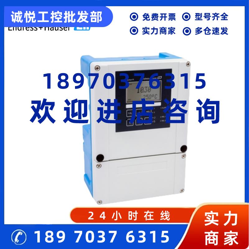 议价E+H变送器CPM253-MR0005现货CPM223恩德斯豪斯pH/ORp一体化分