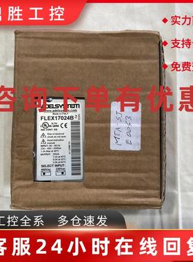 议价ADELSYSTEM电源开关FLEX17024B电源模块调节型电源模块