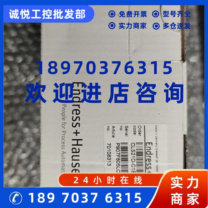 议价探头E+H恩德斯豪斯数字式电导率传感器CLS21D-C1E1 P907F805L
