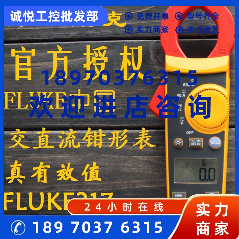 议价福禄克FLUKE317交直流钳形表F312 F317/F319电流表FLUKE319
