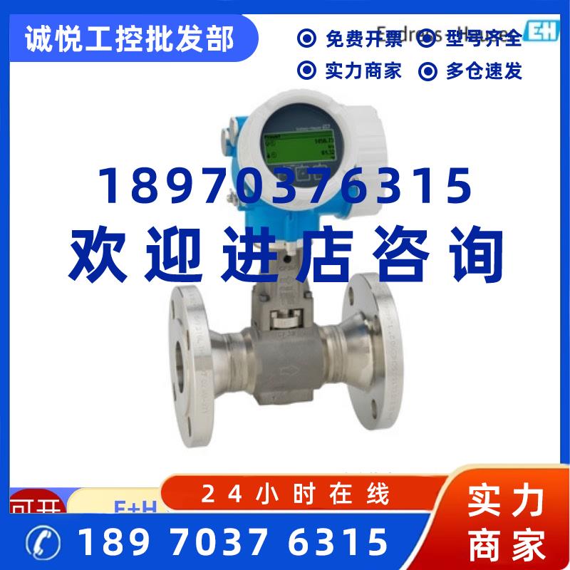 议价E+H恩德斯豪斯电磁流量计5P3B50-AAIBAEHFAAED5K0AA2全新原装