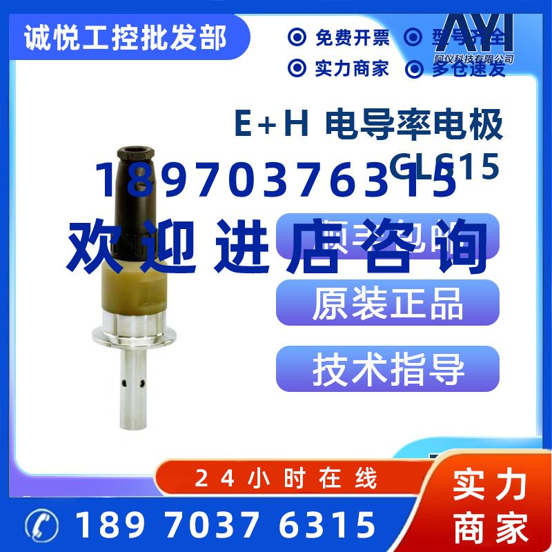 议价E+H  电导率电极  CLS15-A1M2A  CLS15-B1M2A  CLS15-B1M3A