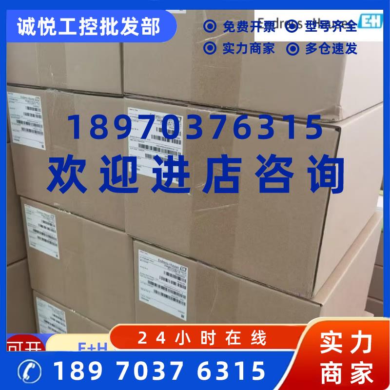 议价E+H 超声波流量计传感器组件 DK9PS-1A flow sensor set全新