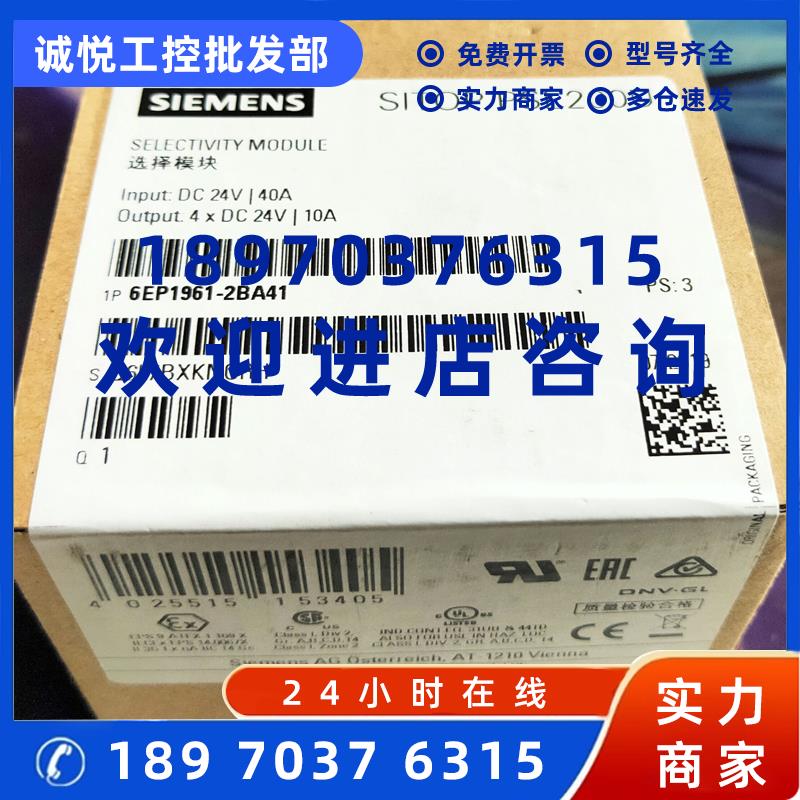 议价6EP1961-2BA41西门子SITOP PSE200U 10A选择性模块4通道DC24V