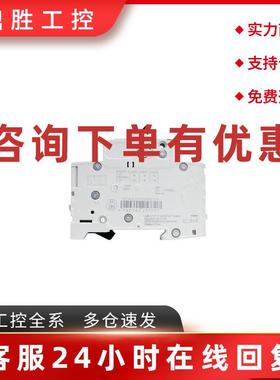 议价原装ABB直流微型断路器   S204M-C6DC