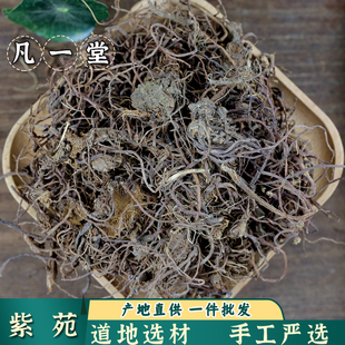 凡一堂中药材 紫苑款冬花 紫菀 子菀 子苑 青菀 返魂草 返魂草根