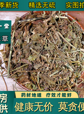 【凡一堂】爵床 爵床草 小青草 赤眼老 母草 麦穗癀 中药材