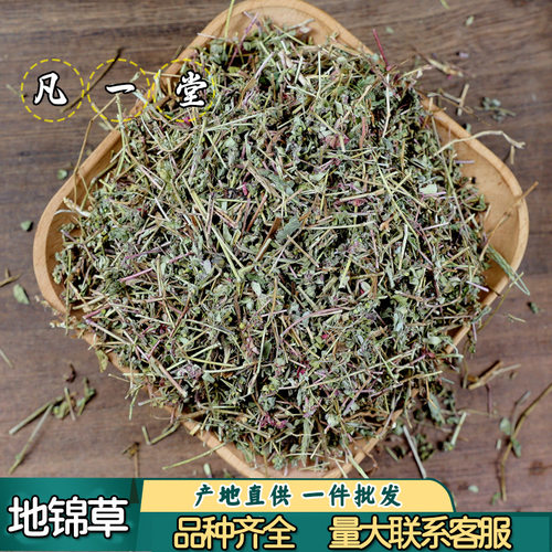地锦草红丝草中药材茵陈