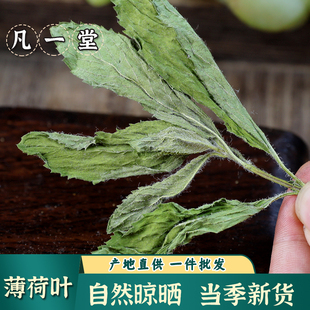 薄荷 薄荷叶蕃荷叶升阳草卜荷中药材金银花薄荷柴胡香附钩藤薄荷