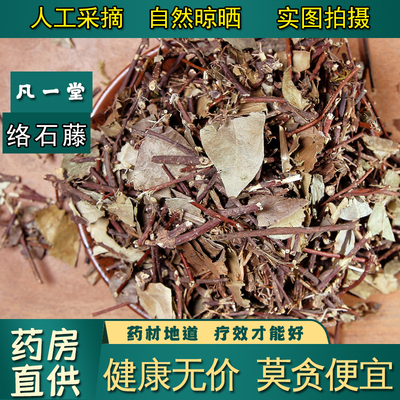 络石藤络石屯白花藤络石草