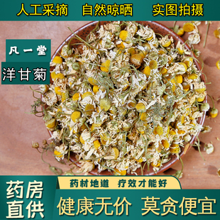 【凡一堂】 洋甘菊干花茶 中药材洋甘菊茶包泡水 花草茶 洋甘菊