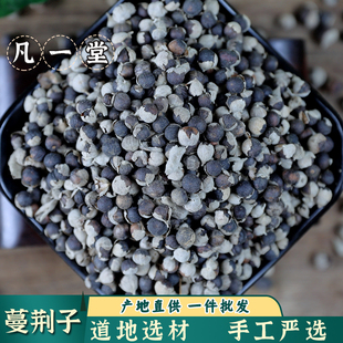 【凡一堂】中药材 蔓荆子 蔓京子 蔓菁子 新货散装