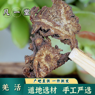 羌活中药材羌活片羌活胜湿汤地黄羌活羌活独活羌活桂枝当归炙甘草