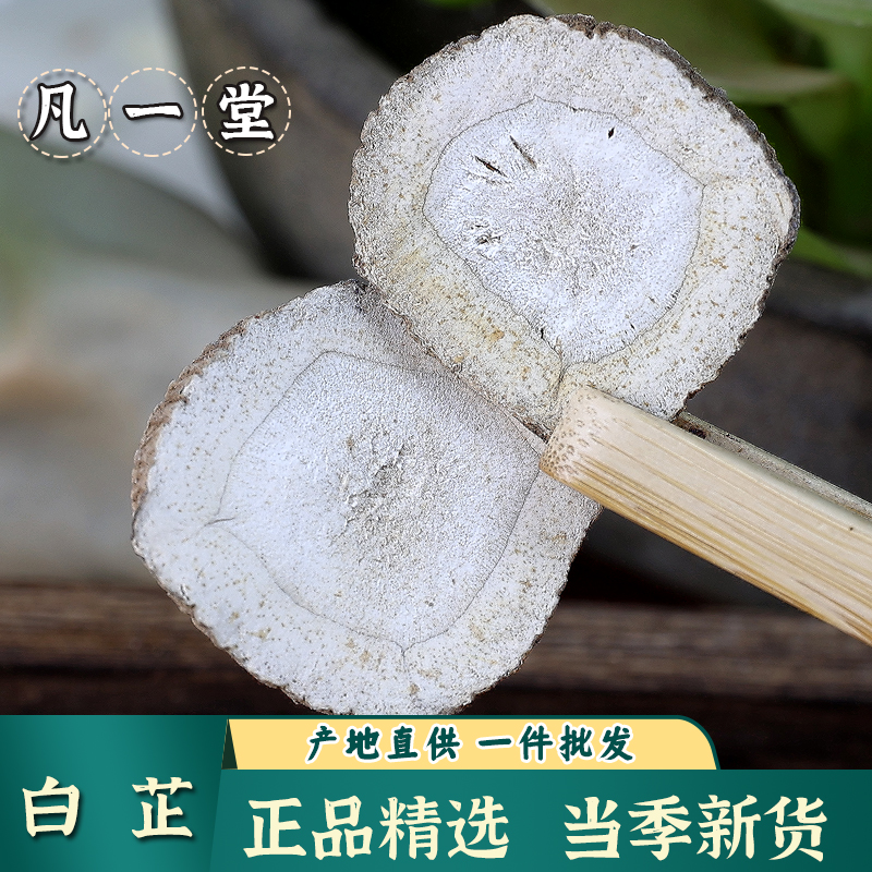 中药材白芷 白芷片 白芷粉白芷丁香苏叶睡眠白芷白术茯苓白芨白芍