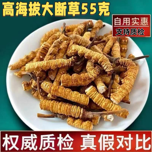 【处理断草】虫草冬虫夏草正品非野生滋补干货西藏那曲虫草旗舰店