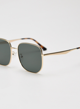 复古波普Pop大框金属方框渐透色太阳镜尼龙镜片男女质感墨镜