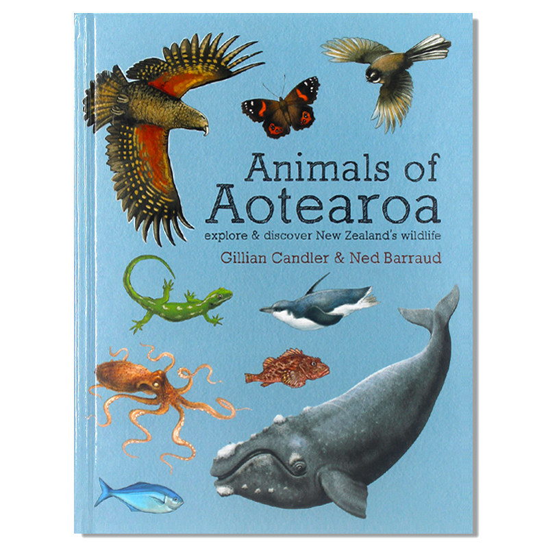 现货包邮 Animals of Aotearoa 奥特罗伊亚的动物:探索和发现新西兰的野生动物 儿童启蒙动物认知图书 英文原版