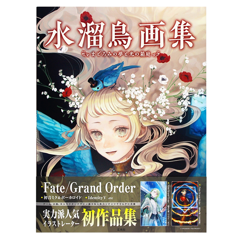 现货 水溜鳥画集 まどろみの夢と光の箱庭 日本天才画师 水溜鸟画集 梦幻和光的庭院 美丽原创插图作品 角色设计画册 日文原版