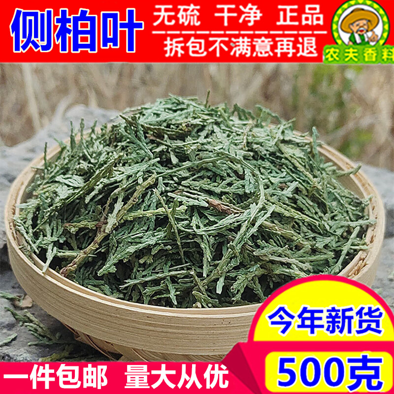 正品新货侧柏叶500克包邮侧柏叶中药材侧柏叶桑叶苦丁茶生发脱发