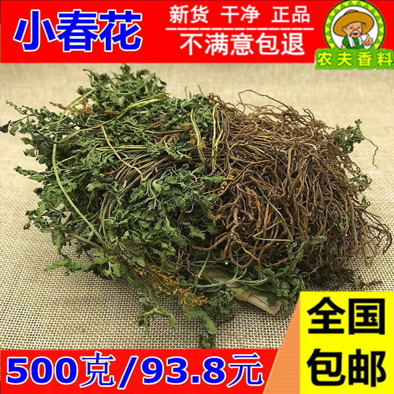 新鲜 小春花 500g克包邮中药材一朵云破天云阴地蕨独立金鸡散血叶