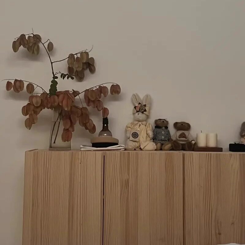 全实木储物柜客厅卧室门厅阳台落地吊柜铰链开合门可定制尺寸