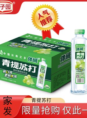 栗子园青提果味饮料400ml*24