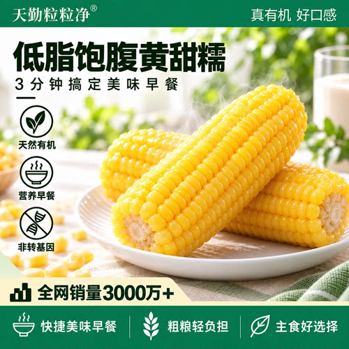 天勤粒粒净新鲜玉米铝箔有机新鲜黄甜糯玉米早餐加热即食代餐