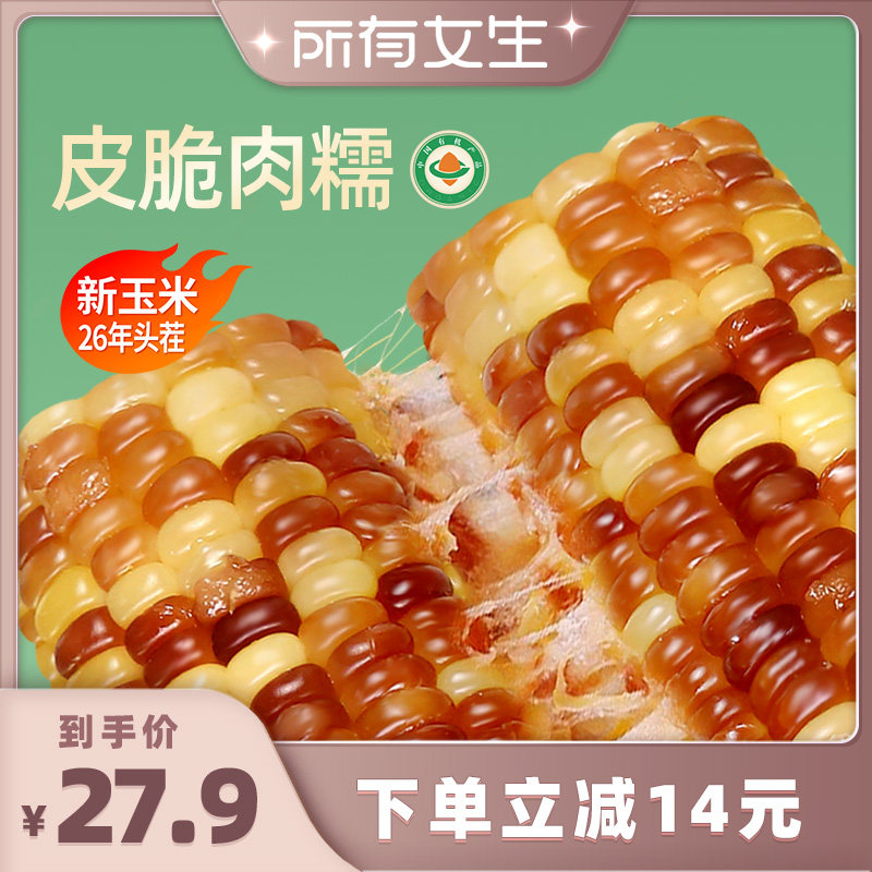 天勤粒粒净有机彩糯玉米图片