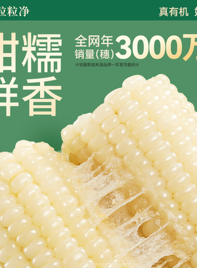 天勤粒粒净25年有机甜糯玉米9条8条新鲜糯玉米早餐代餐加热即食