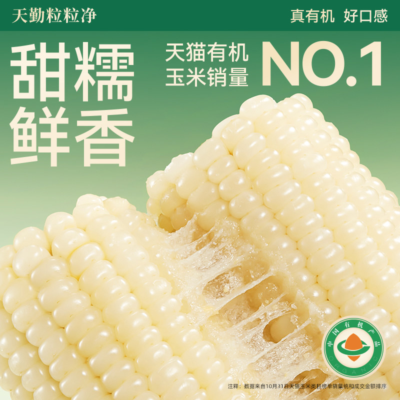 ��24�������ס���������������Ŵ�������װ��װ��������ճ����