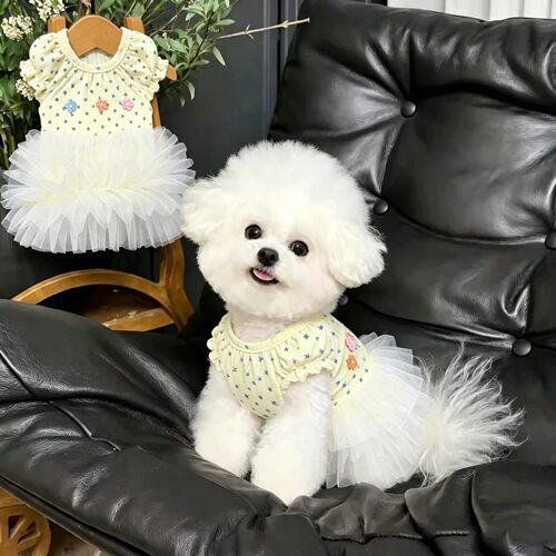 小狗衣服夏天薄款透气公主风蓬蓬裙宠物狗狗比熊泰迪小型犬连衣裙