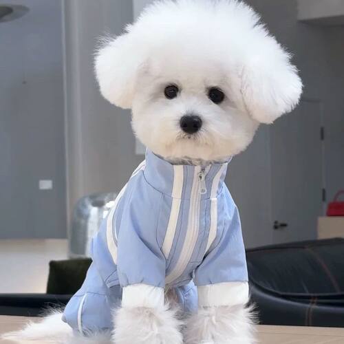 狗狗衣服春夏款小型犬雪纳瑞可牵引宠物防泼水四脚冲锋衣