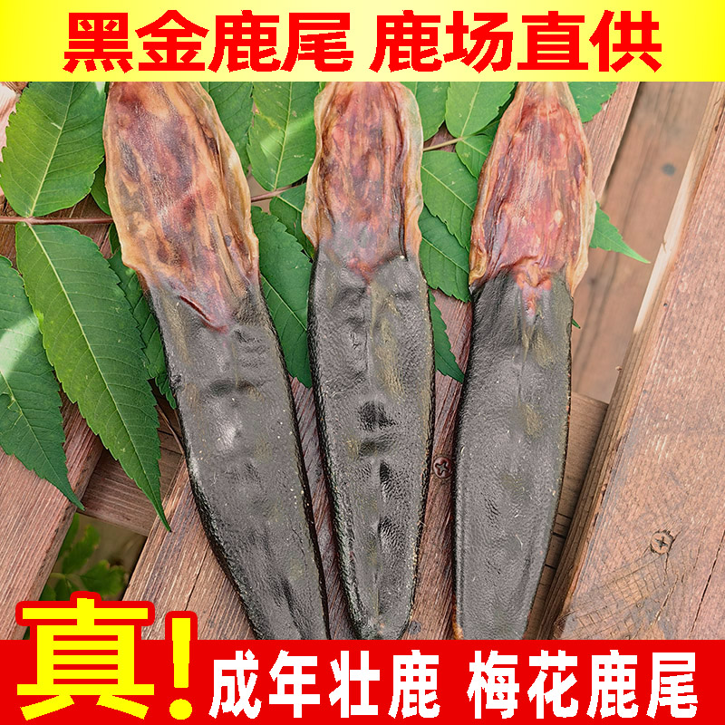 吉林纯梅花鹿尾巴整支干鹿尾精可切片搭配鹿茸片泡酒专用鹿场直发