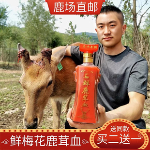 枫木鹿茸血泡酒80%含血吉林梅花鹿茸切片鹿血男用加酒保鲜500毫升