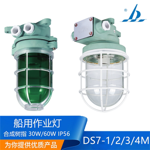 海星船用塑料树脂白炽作业灯DS7-1/2/3/4M防水舱顶灯220V60W正品