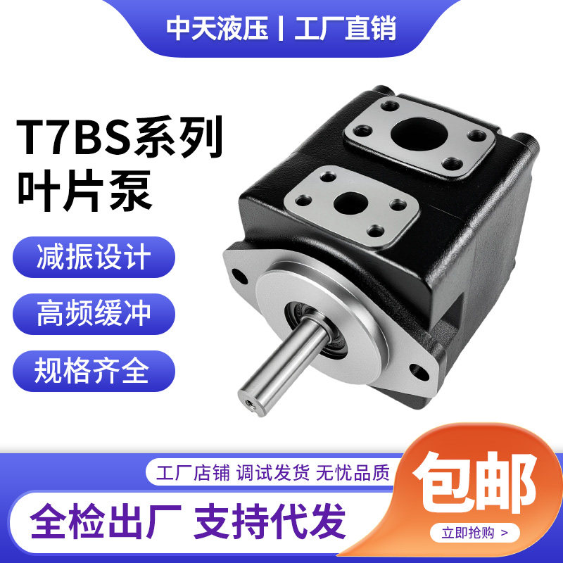 高压叶片泵T7BS-B08 09 10 11 12 14 15 17 20-3R00-A100液压油泵,标准件/零部件/工业耗材,液压泵,淘宝优惠券,粉丝福利购,淘宝优惠卷