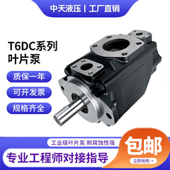 双联叶片泵T6DC-028/031/035/038-012/014/017-1R00-A1定量液压泵