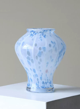 轻奢艺术感玻璃花瓶客厅餐桌水养插花装饰摆件高级感大口径花器